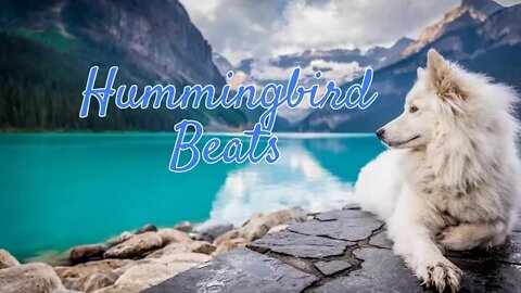 Another Few Weeks by BatchBug (No Copyright Music)