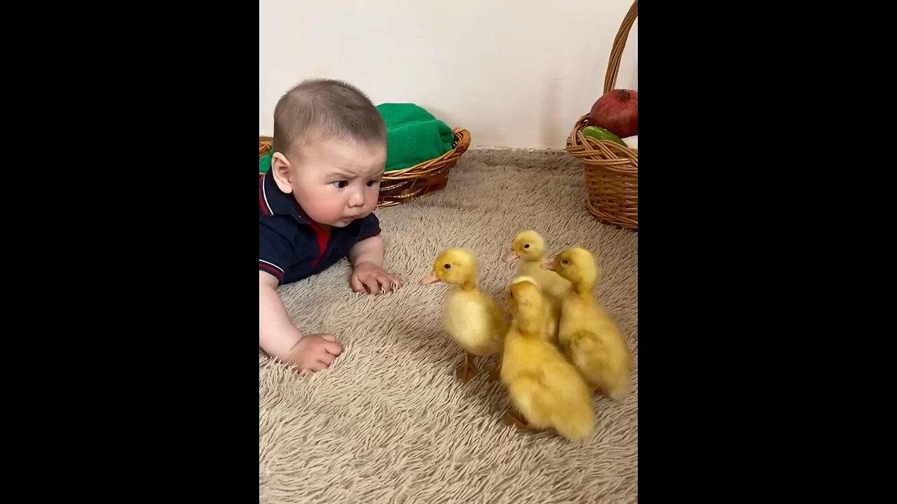 Little cute baby listening the voice of little sparrows