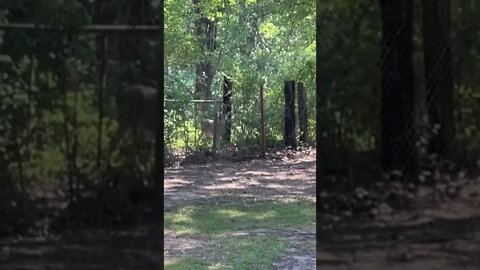 We are surrounded by nature