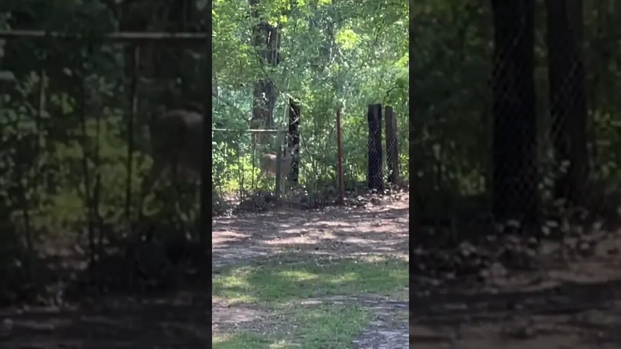 We are surrounded by nature