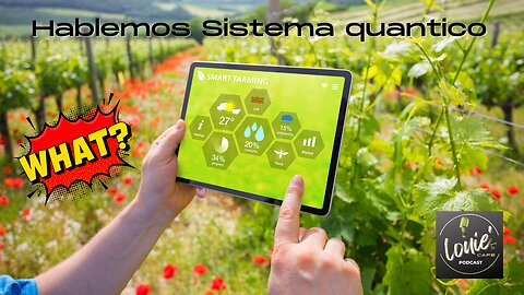 Hablemos sistema quantico