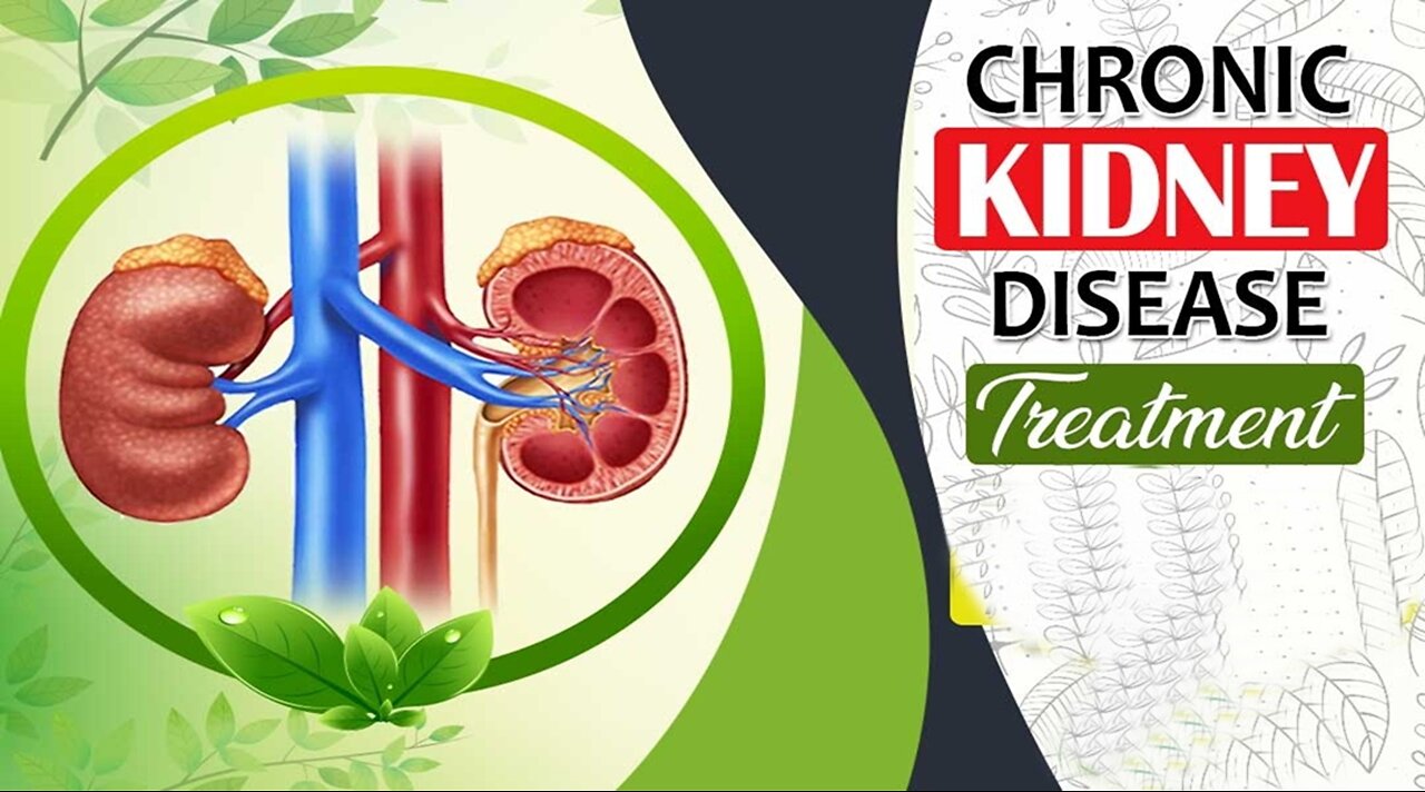 The Best Treatment For Kidney Disease