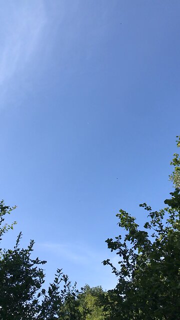 4:24 30/08/2023 Wales plane no chemtrial