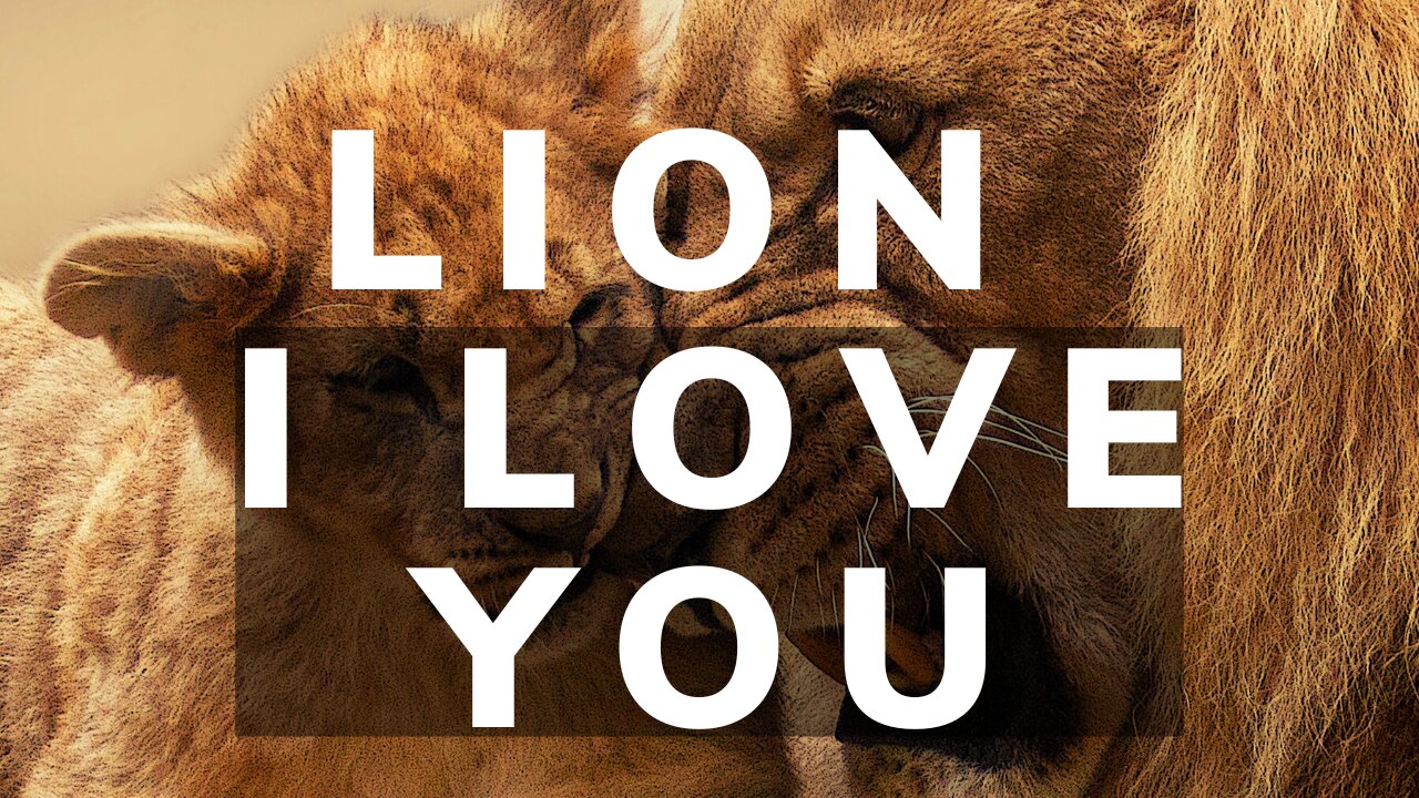 Lion i Love You