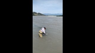 Chitna Dip netting