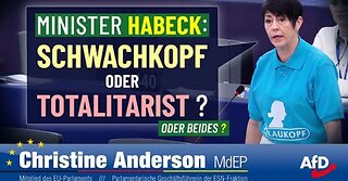 AfD EU: Krieg der Politiker gegen unsere Meinungsfreiheit