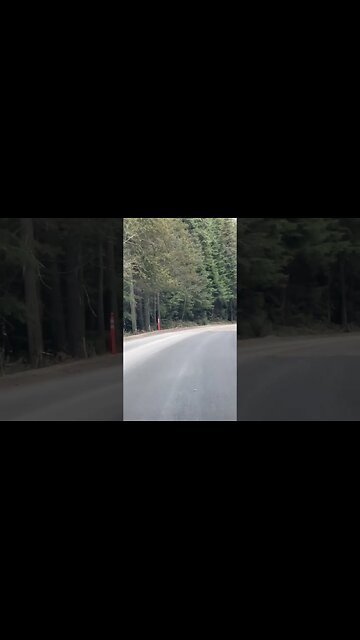 God’s Country - Montana Glacier National Park