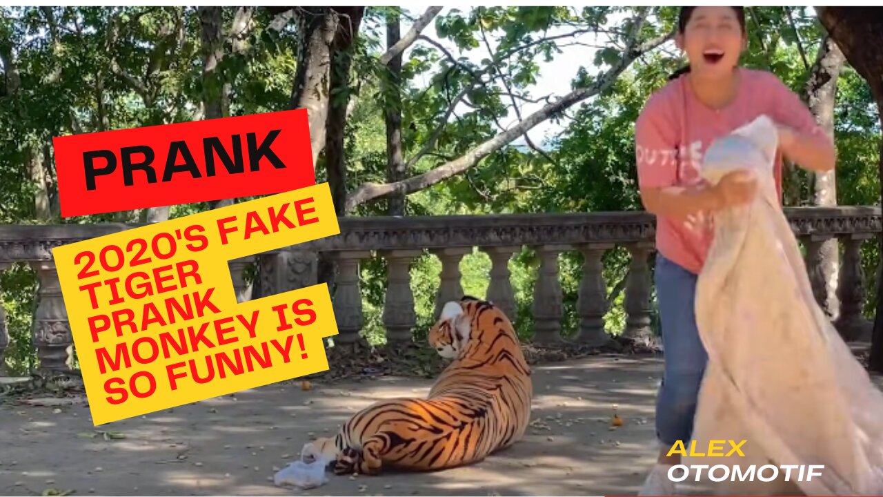 Try not to laugh, fake tiger prank monkey, so funny in 2020 #Fake Tiger Prank Monkey Wow!!! Fake Tiger Prank Video || TRY NOT TO LAUGH CHALLENGE 2020 || Fake Tiger|| Funny Challenge Video Fake Tiger Prank Video || TRY NOT TO LAUGH CHALLENGE 2020 || Fake T