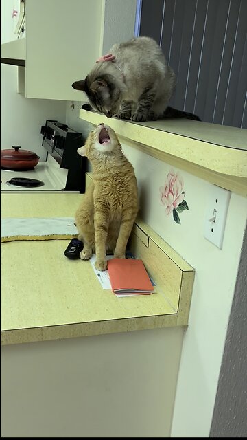 home is whenever I’m with you