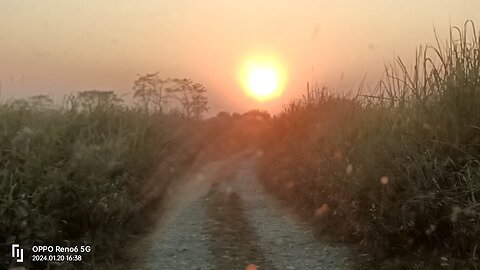 Assam Manas National park tourist place🐘🐘🐃🐃🐆. Traveling