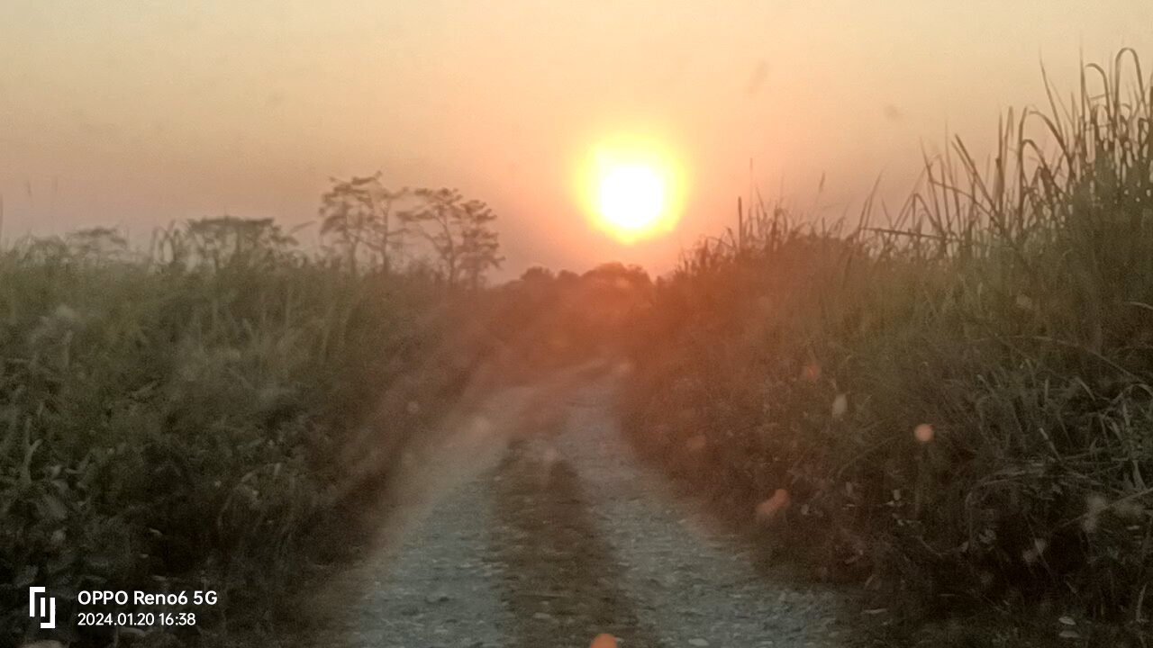 Assam Manas National park tourist place🐘🐘🐃🐃🐆. Traveling