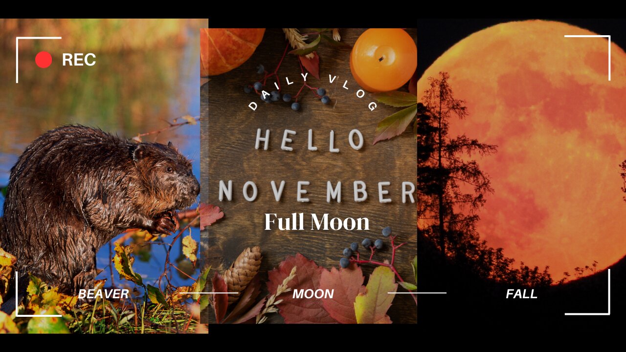 November Full Moon