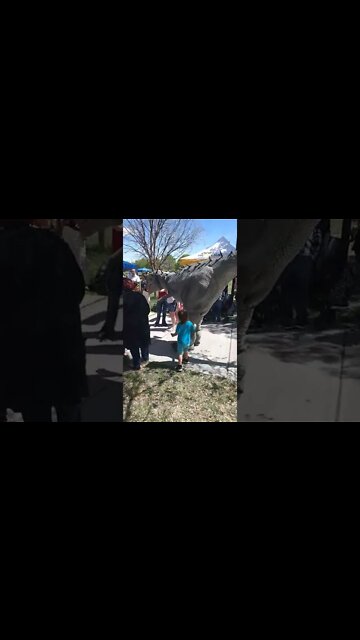 Dinosaur in Tiquex Park!