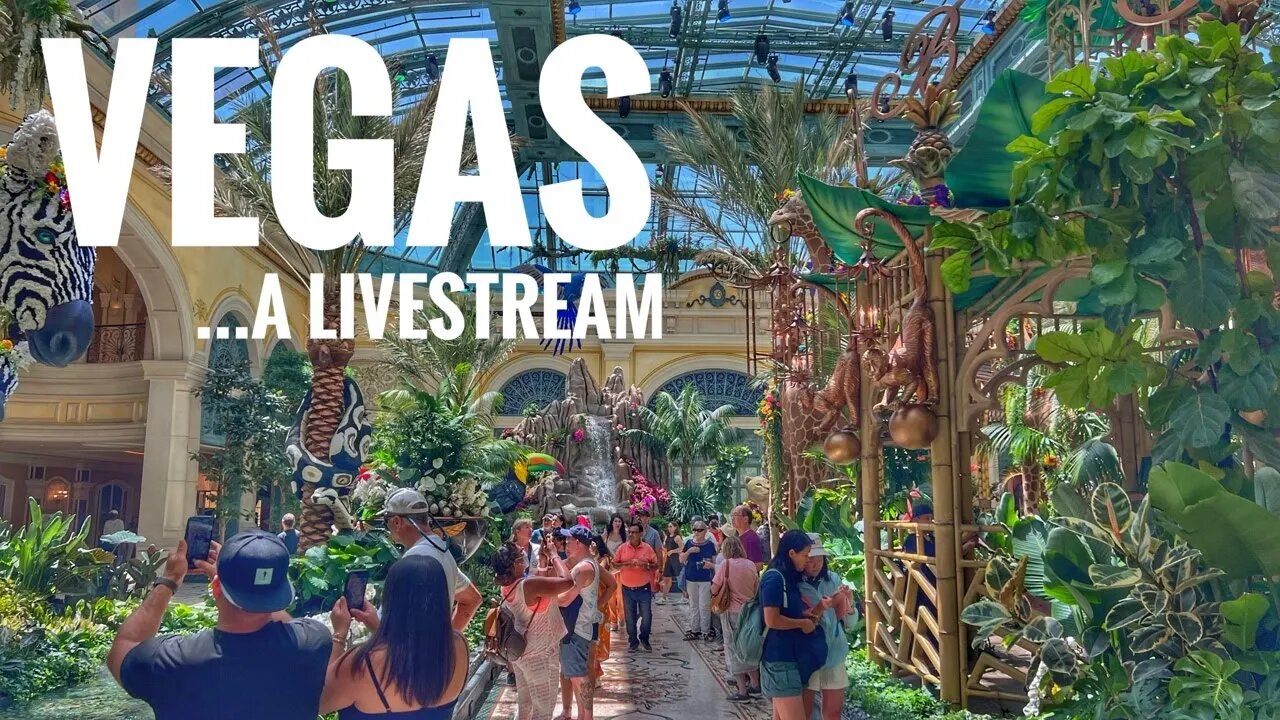 Vegas LIVESTREAM - A Sunny Strip Walk in Las Vegas? Yes Please!!
