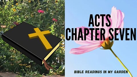 ACTS Chapter 7 | NRSV Bible