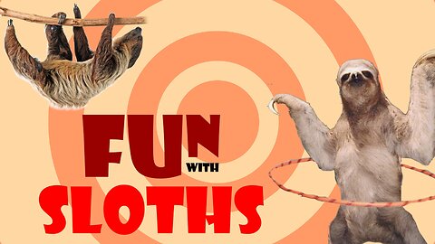 😁Sloths fun😍😘
