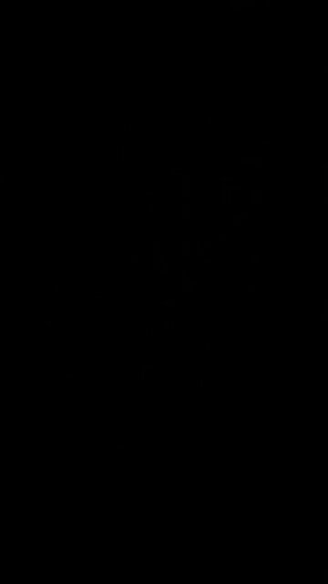 The Roman Catholic Church