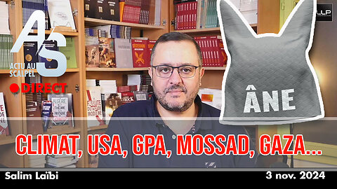 Actu Scalpel 3 nov. 24 : Climat, USA, GPA, Mossad, Gaza...