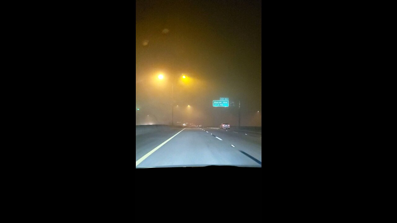 Tampa Fog