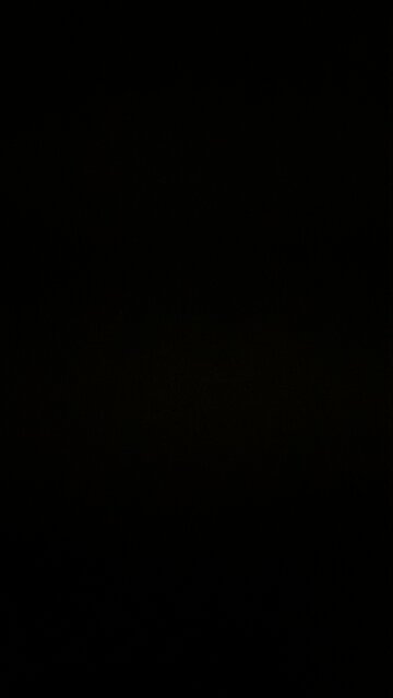 Human meat in McDonald’s