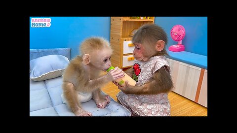 The Heartwarming Similarities Between Monkey and Human Families"