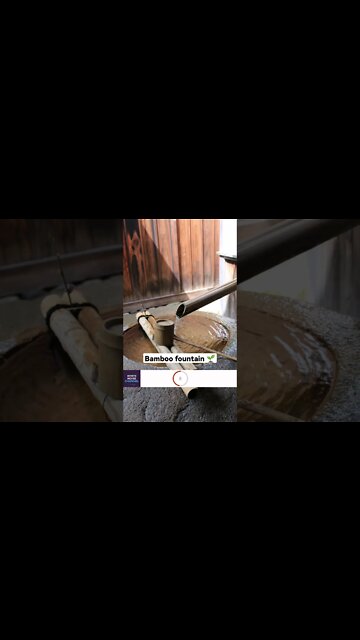 CHALLENGE: Can you relax for just 15 seconds? 🧘 #shorts