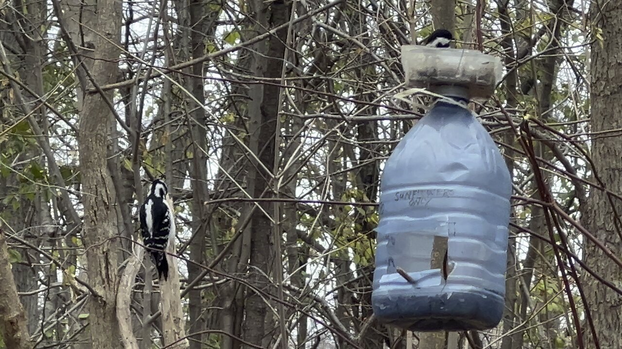 James Gardens Toronto friends 😊