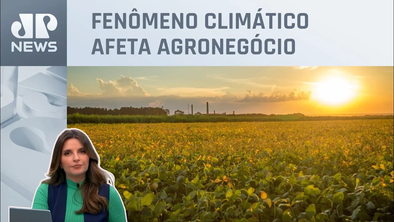 Kellen Severo: Preços agrícolas podem subir com El Niño forte