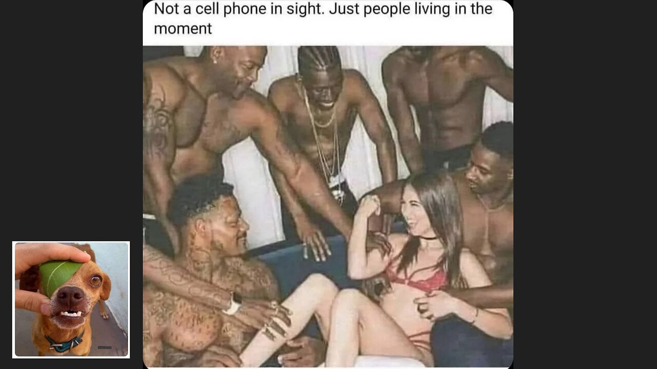 20 Memes That Will 99.73% Make You Laugh. (e08)