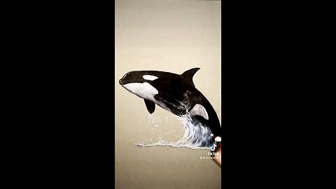 Drawing an orca