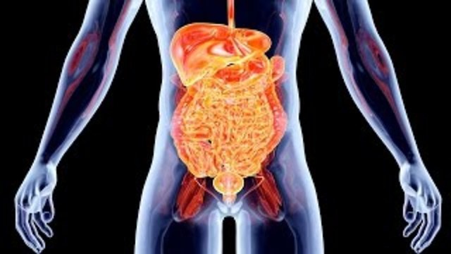 Top 10 Facts You Didn’t Know About Your Body