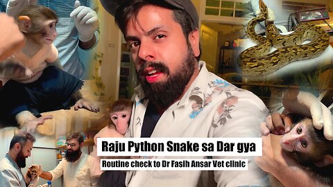 Raju monkey visit to Dr Clinic for Routine checkup