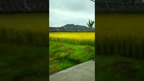 wait what happen?