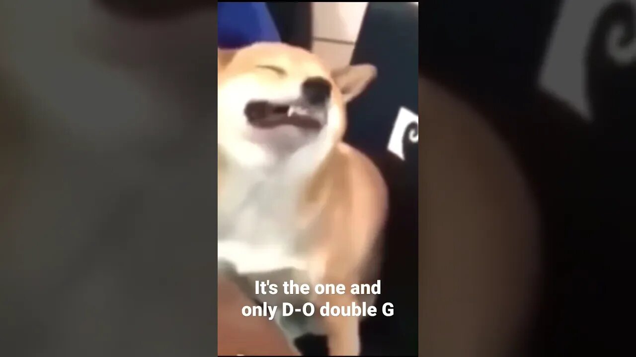 MEME is the one and only D-O double G #shorts