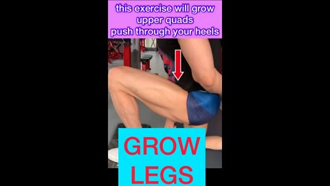 LEG WORKOUT #shorts #youtubeshorts