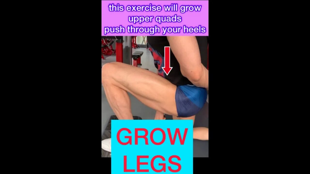 LEG WORKOUT #shorts #youtubeshorts