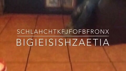 Schlahchtkfjfofbfronx - Bigieisishzaetia