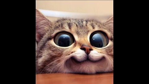 Funny animals 2023😆 - Funniest Cats and Dogs Video🐕🐈