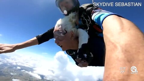 Sebastian woman celebrates 100th birthday by skydiving