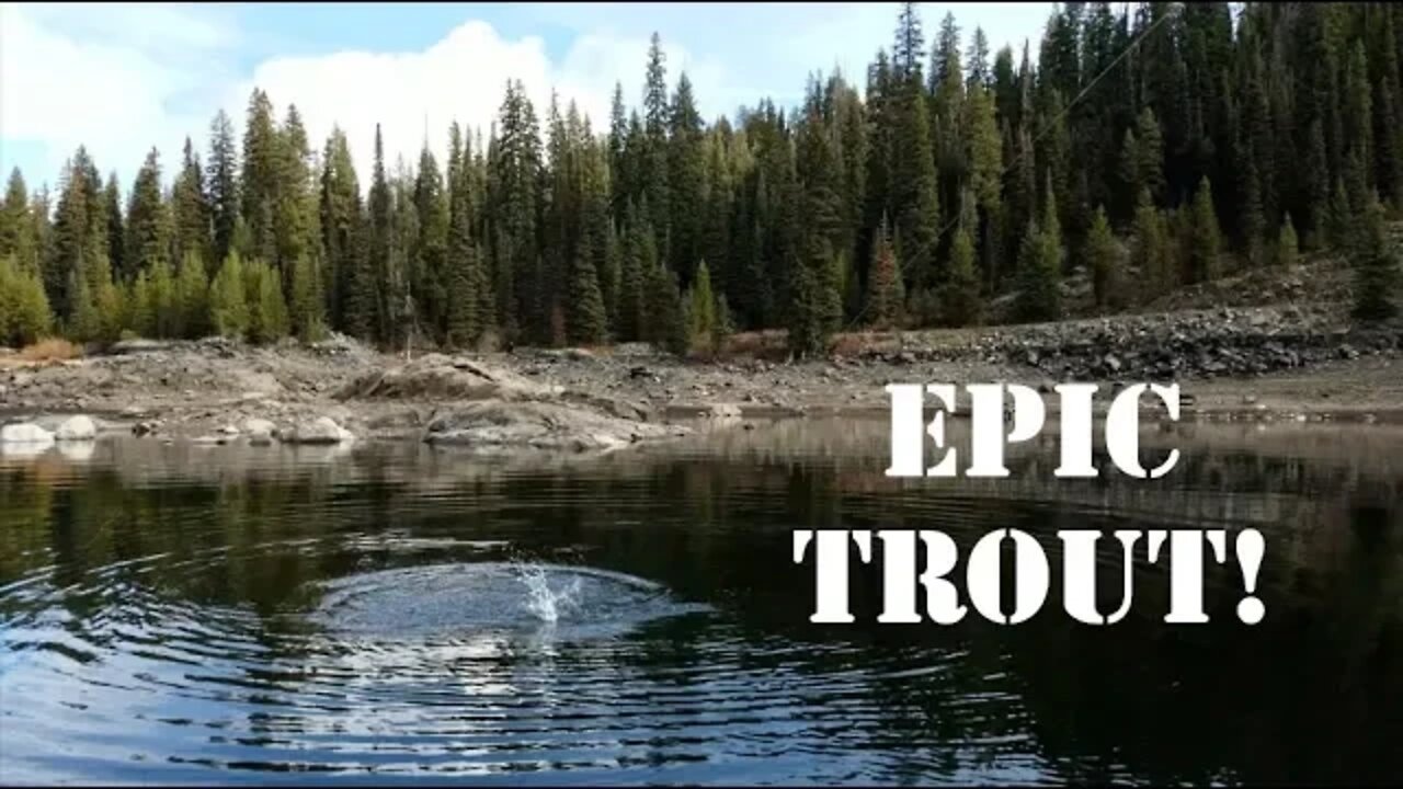 Underwater fly fishing... A deeper look in an Idaho reservoir