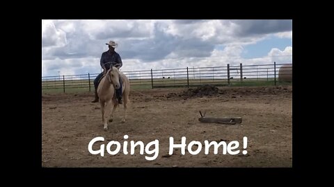 Horse Training | Beau Duke - Final Video