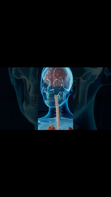 ESSA BEBIDA REDUZ O COLESTEROL, MELHORA A SAÚDE DO FÍGADO E A DIGESTÃO #shorts