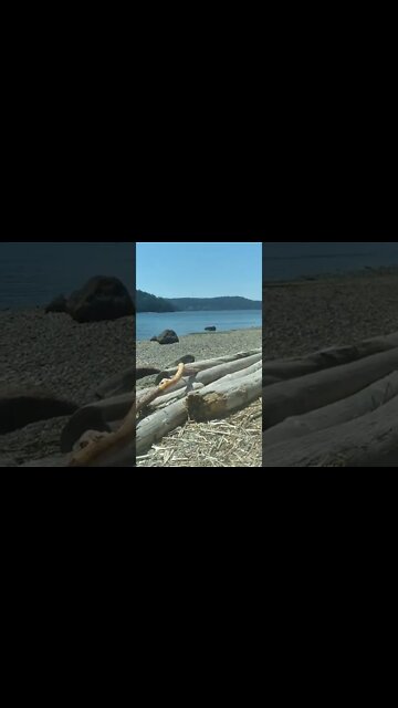 La Conner, Washington, Ocean Side 6.30.2022☆☆☆☆☆