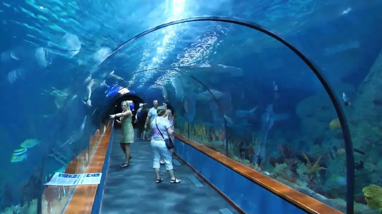 People in underwater tunnel aquarium in Loro Parque or Loro Park, Tenerife island, Canary islands