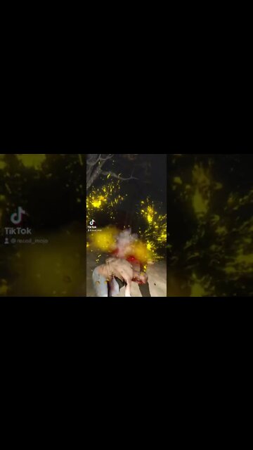 Half Life Alyx mods that got more profile views on TikTok Gaming 5