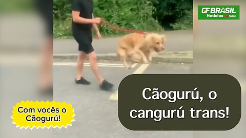 Com vocês o Cãogurú, aquele que nasceu cão mas se sente cangurú!