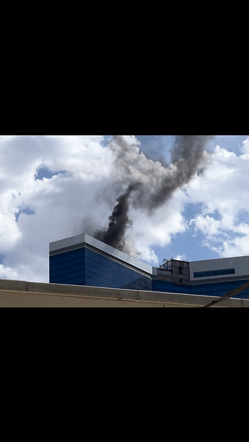 Fontainebleau Video 1