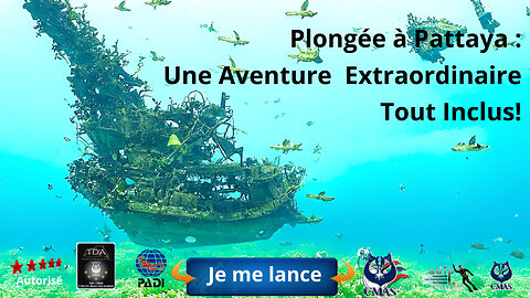 Exploration Sous-Marine à Pattaya Plongée Fun avec Diodons, Tortues,