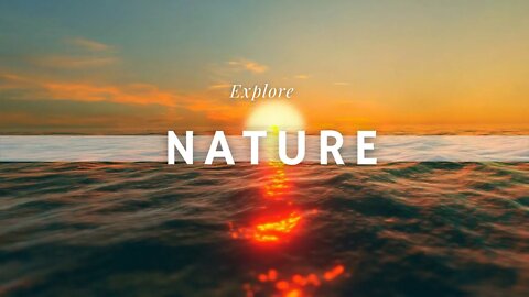 Click This Video If You Love Nature- Relaxing Music🎶| 1 hour
