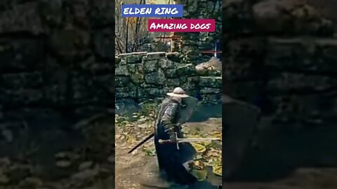 ELDEN RING amazing dogs 😱😱😱 #shorts #eldenringps5 #eldenring2022